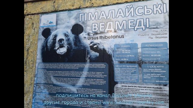 Украина; Львовская обл.; с. Меденичи; Зоопарк Лимпопо