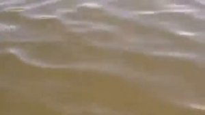 Ловля сома весной видео.