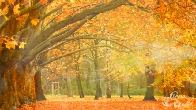 Осенний футаж и его применение. Бесплатно. смотреть онлайн