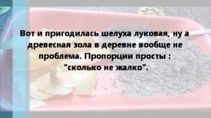 Как помочь рассаде нарастить корневую систему? Без химии !