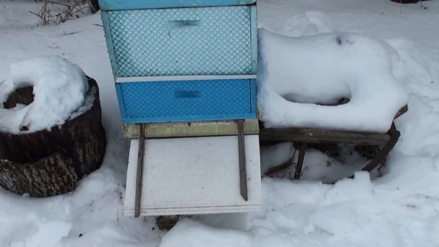 Зимовка пчел на воле и эффективные прилетные доски смотреть онлайн