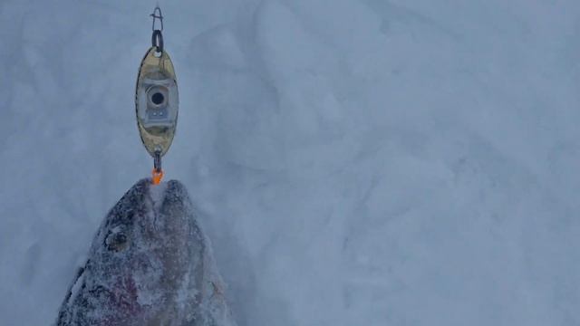 13 февраля 2024 г. смотреть онлайн