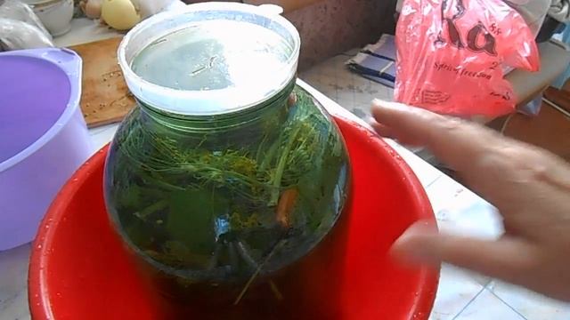 Квасим Огурцы на зиму.  Хрустящие, слегка острые. ( как в бочке.)