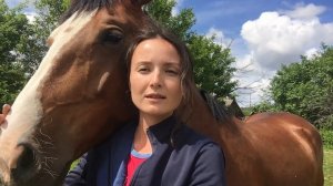 ПОЧЕМУ ЛОШАДИ НЕ ХОТЯТ ПАСТИСЬ. ДОКТОР СНОВА ГОНЯЕТСЯ ЗА СОБАКАМИ. ЖИЗНЬ ПРОСТЫХ ЛЮДЕЙ В ДЕРЕВНЕ