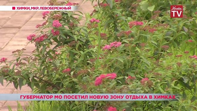 Губернатор А. Воробьев посетил новую зону отдыха в микрорайоне Левобережный смотреть онлайн