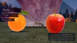 Fruit Size Comparison. The Biggest Fruit on the Planet.