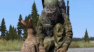 Выживание в Dayz: дайте на пропитание )