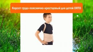 Корсет грудо-пояснично-крестцовый для детей ORTO обзор