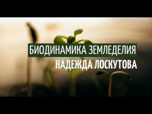 Биодинамика земледелия - что это? Создатель биодинамики земледелия  Рудольф Штайнер