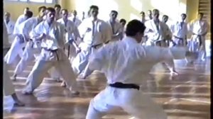 Мацуи и Юкомидза семинар в России 1994 г. (Екатеринбург)