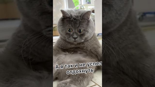 Как же так