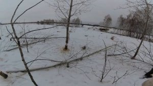 Что бобры едят зимой. Бобр зимой.