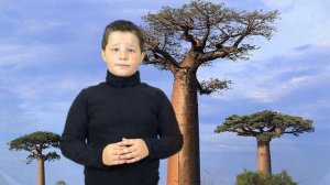 Интересные факты про деревья !