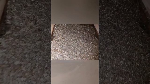 ФИТОСАУНА В АНАПЕ смотреть онлайн