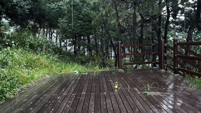 깊은 수면과 지친 마음을 위한 빗소리, 스트레스 해소, the sound of rain for deep sleep and stress смотреть онлайн