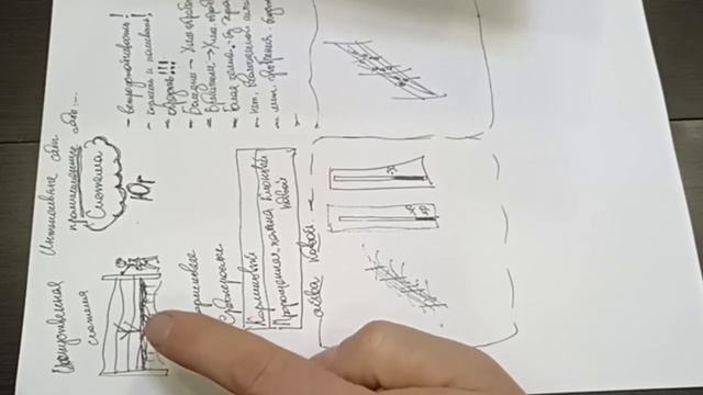 Интенсивное или новое садоводство.
