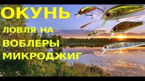 Окунь на воблеры ZipBaits Rigge 43, Chubby Minnow 35 и другие