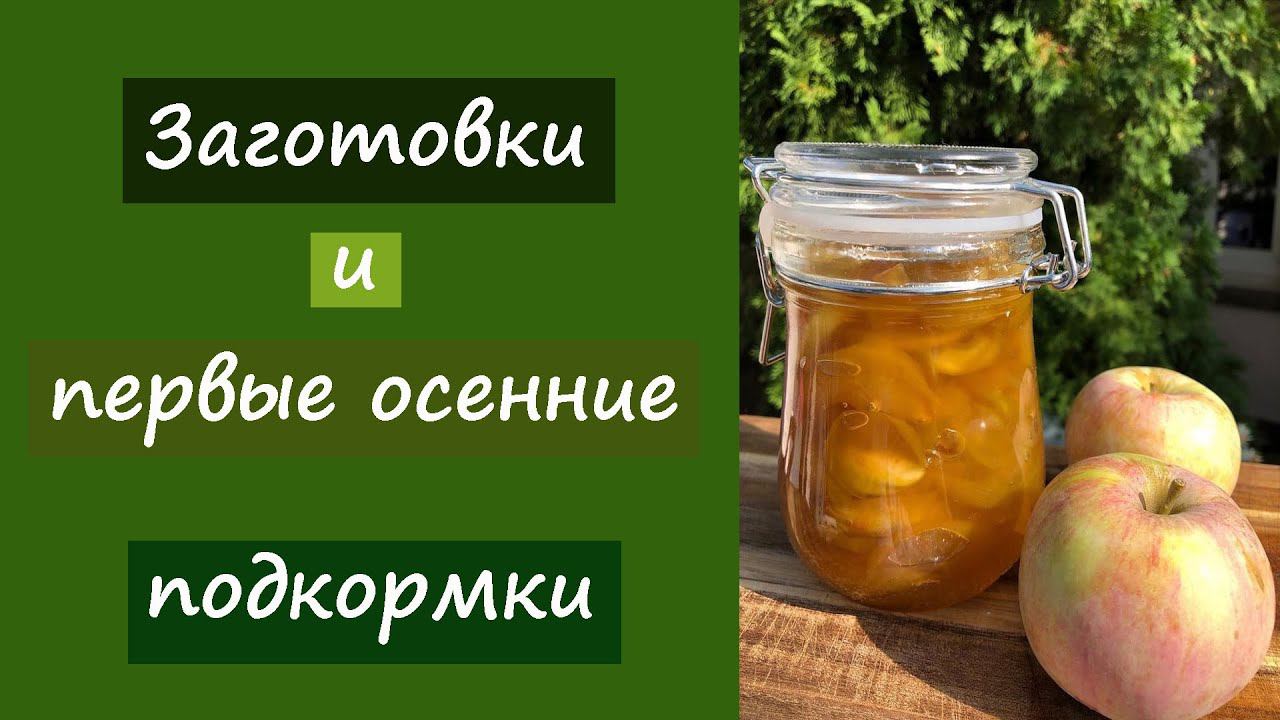 Делаем заготовки и первые осенние подкормки