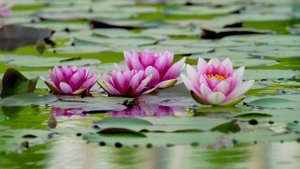 Красивая инструментальная музыка для души 13.07.2023.