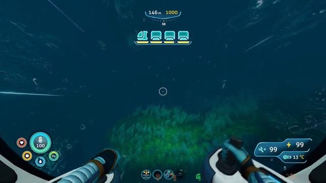 Subnautica Below: Zero, How To Find Cotton Anemone And Flowering Spores