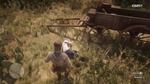 THE NEW ARMADILLO SHERIFF (Red Dead redemption 2)