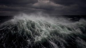 Как это было? Часть первая. Окаменелости.