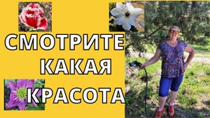 #124 Жизнь как она есть/Краснодарский край/Купили дом на юге
