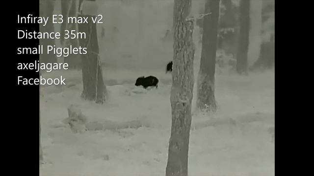 Infiray E3 MAX V2 смотреть онлайн