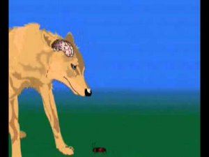 Деятельность нервной системы