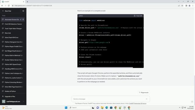 After executing selenium python code google chrome closes automatically смотреть онлайн