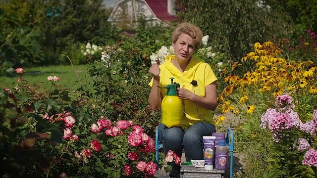 Всего 5 минут, и тли на розах не будет смотреть онлайн