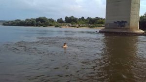 Высота моста в Алексине через Оку