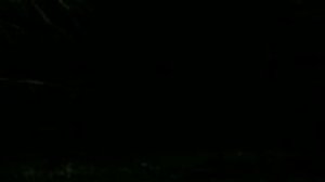 "В лапах волка" [1/?] ( Гача лайф ) сериал