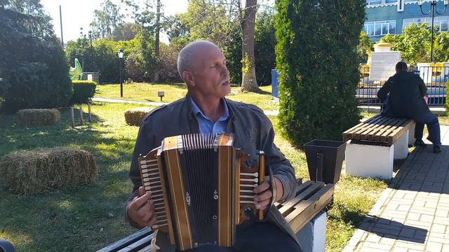 Воронежский гармонист Гаршин С В смотреть онлайн