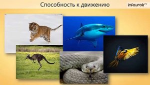 1 Зоология наука о животных