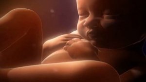 белый шум для малышей. сон ребёнка. шум утробы 90 минут