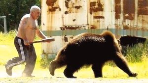 Как спастись от Медведя за 2 секунды