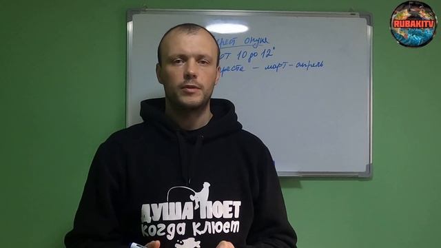 Когда НЕРЕСТ ОКУНЯ! Не пропустите ЖОР! смотреть онлайн