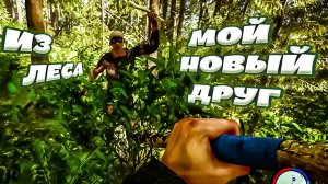 НОВЫЙ ДРУГ -  Sons Of The Forest (угар, приколы, фейлы)