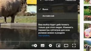 WILDERNESS COOKING Доход - Сколько зарабатывают на YouTube
