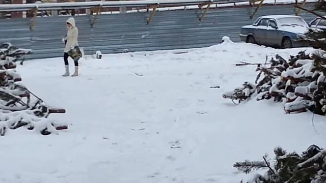 Новогодние Елки