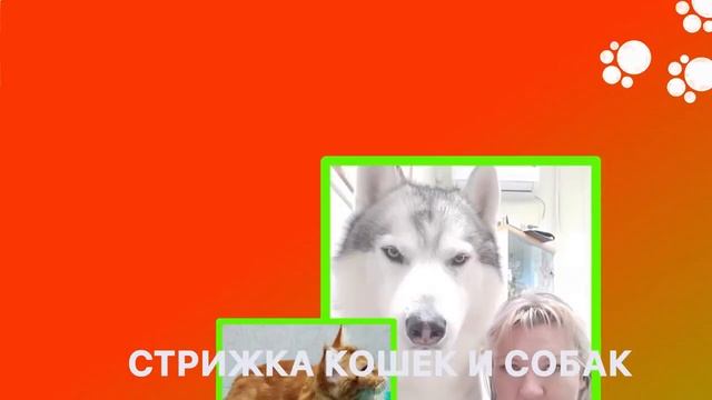 Ролик Груминг