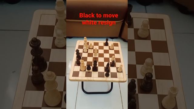 CHESS entertainment WGM Socko vs GM Alekseenko