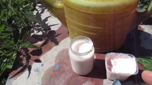 ПОЛЕЙТЕ ЭТИМ ЁГУРТОМ С ЙОДОМ ПЕРЕЦ ДЛЯ БЫСТРОГО РОСТА И УВЕЛИЧЕНИЯ УРОЖАЯ!!