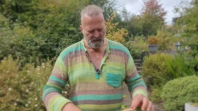 Drone flute in the key of D sound demo смотреть онлайн