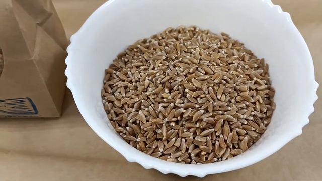 Полба зерно внешний вид смотреть онлайн