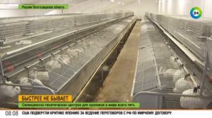 Промышленная кролиководческая ферма Королик