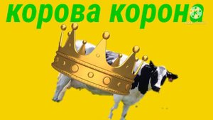 корова корона 👑  му му му