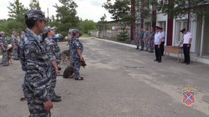 В Волгограде состоялись соревнования специалистов-кинологов ППС со служебными собаками