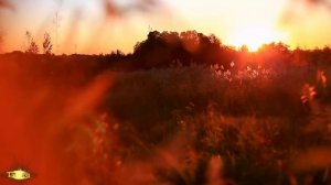 Губами губ твоих коснусь. (романс) братья Заречные.